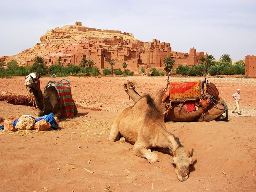 8 Giorni da Fes: Sahara, Kasbah e Marrakech