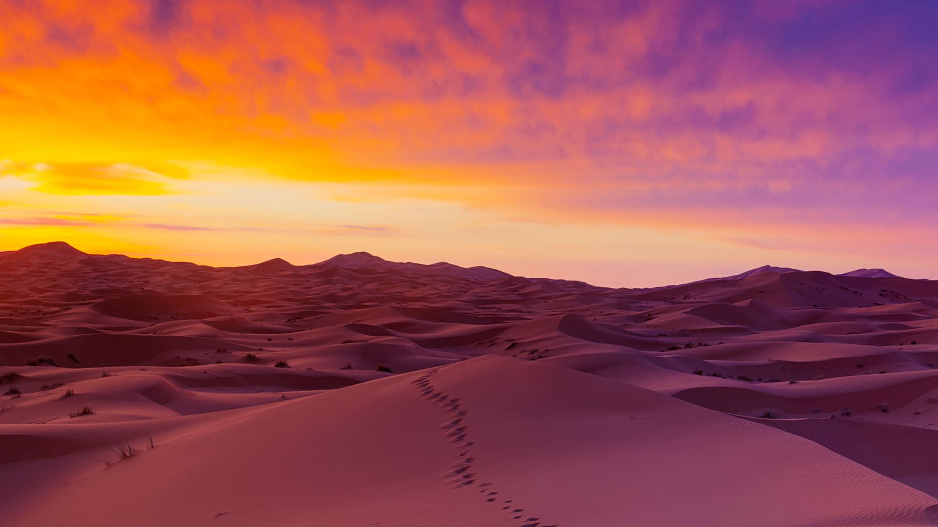 Una notte in un campo nel deserto del Sahara: cosa aspettarsi