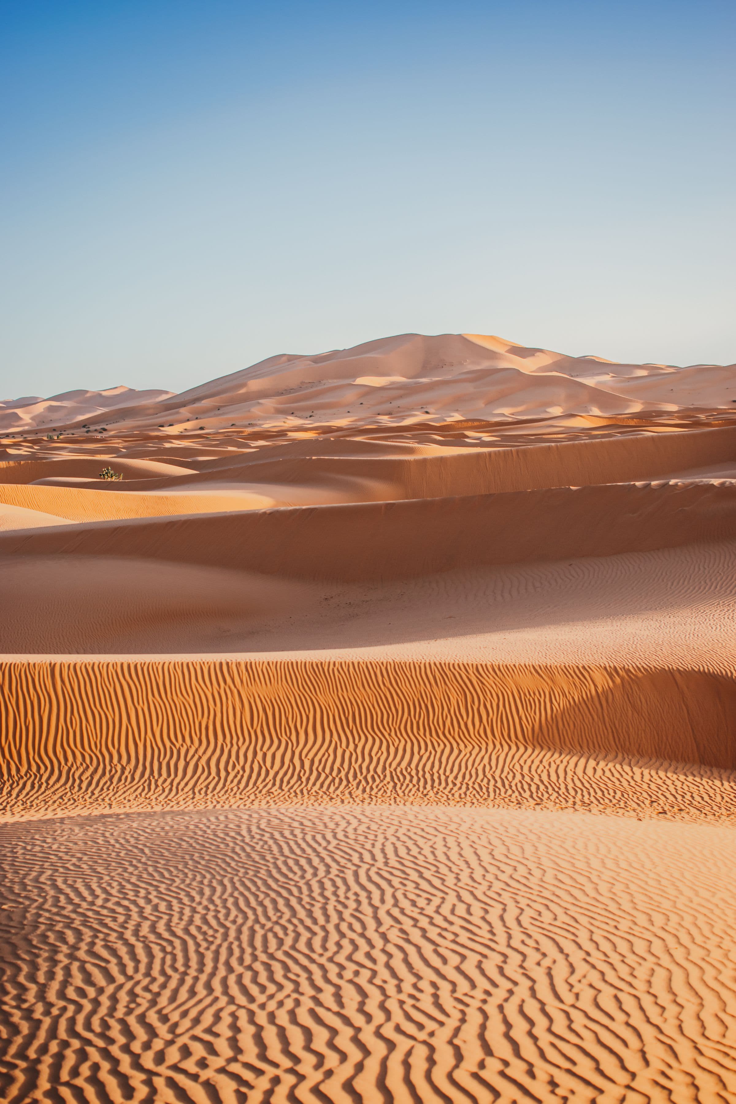 2 Giorni / 1 Notte: Errachidia – Merzouga – Errachidia
