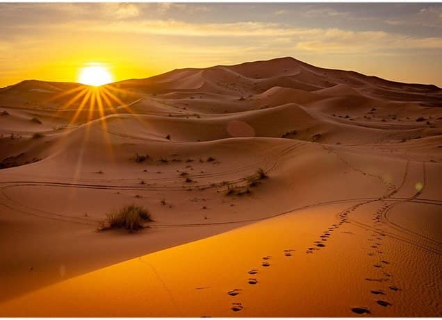 Excursión al Desierto del Sahara